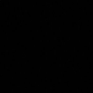 Meet your Posher, Mackenzie